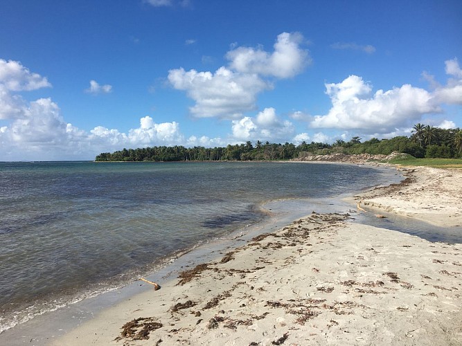 Littoral Anse Belley / Pointe du Helleux