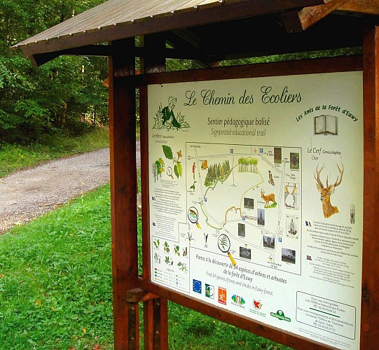 Vers la Forêt d'Eawy 