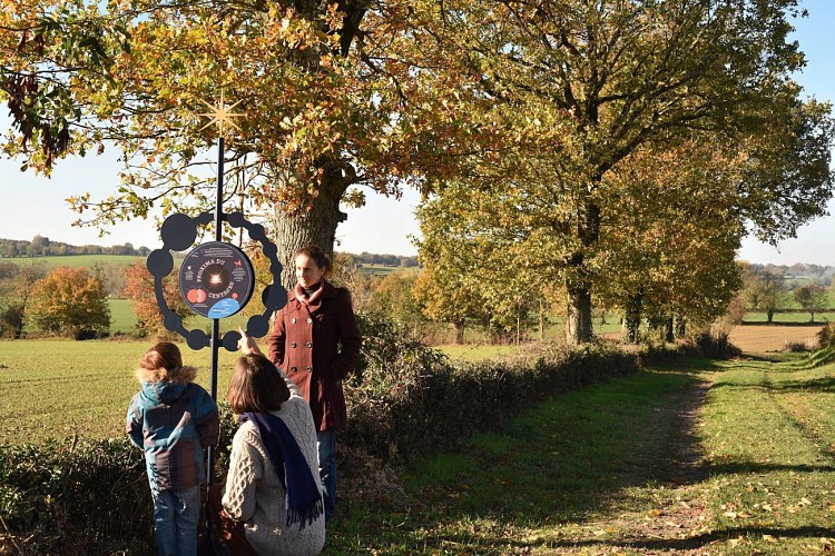 CIRCUIT PÉDESTRE LE CHEMIN AUX ÉTOILES (LA CHAPELLE AUX LYS)