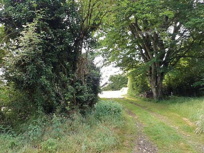 La Passée de Montalembert