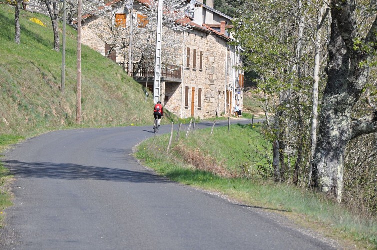 Downhill cycling trail along the River Doux