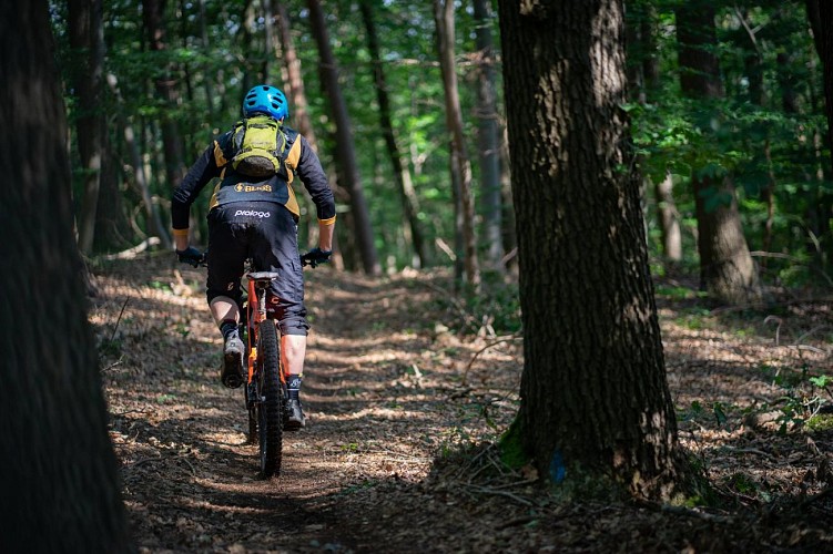 MTB Trails Spa EBike Express Parcours vtt Spa Cirkwi