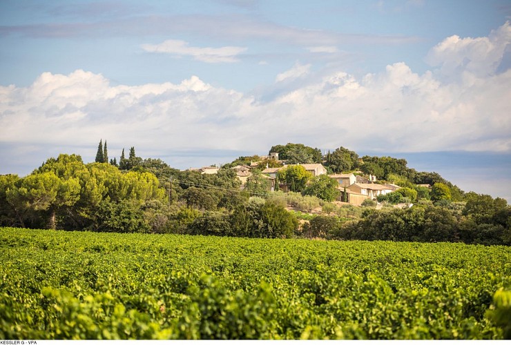 9 - The Plan de Dieu vineyards between Aygues and Ouvèze