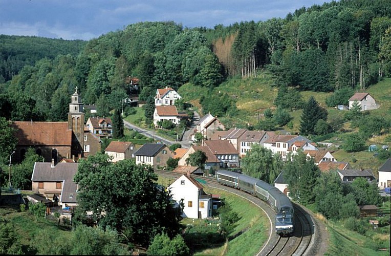 Balade sonore - Découverte de Frohmuhl