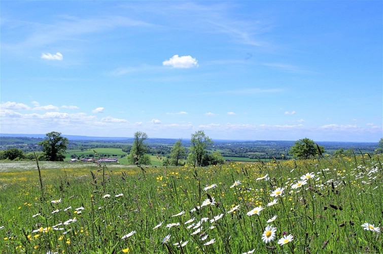 Orgères