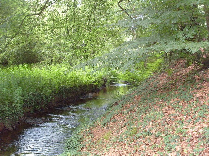 Circuit de la lande Justice - Saint Allouestre