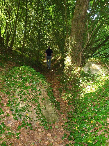 Circuit de la lande Justice - Saint Allouestre