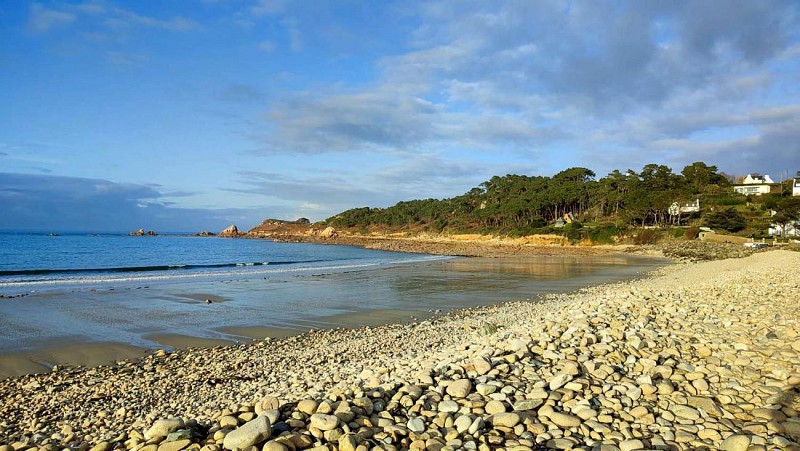 Randonnée bord de mer Guerzit-Terenez | Plougasnou