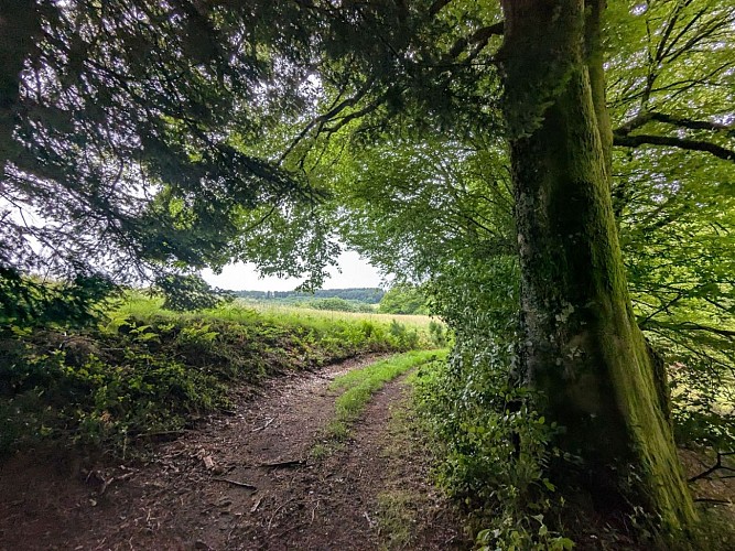 Chemin - La Turgotière VTT - Lacelle ©M Clavaud (2)