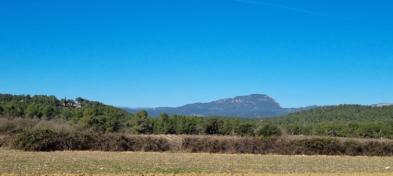 PASSA MERIDIA N° 2 - ENTRE VIGNES / ASSAS