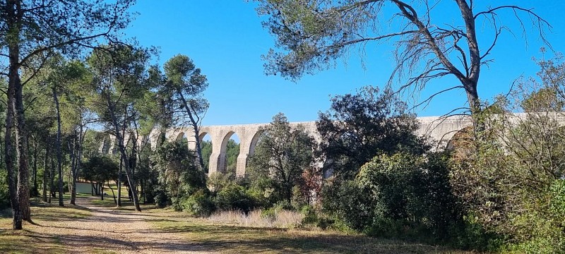 PASSA MERIDIA N° 2 - ENTRE VIGNES / ASSAS