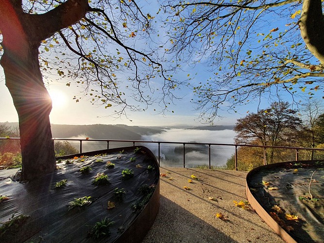 Botassart pv nov 20 MTBA