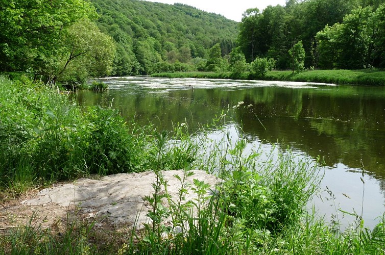 Rochehaut - prom Echelles - Semois - juin 19 - AV MTBA (1)