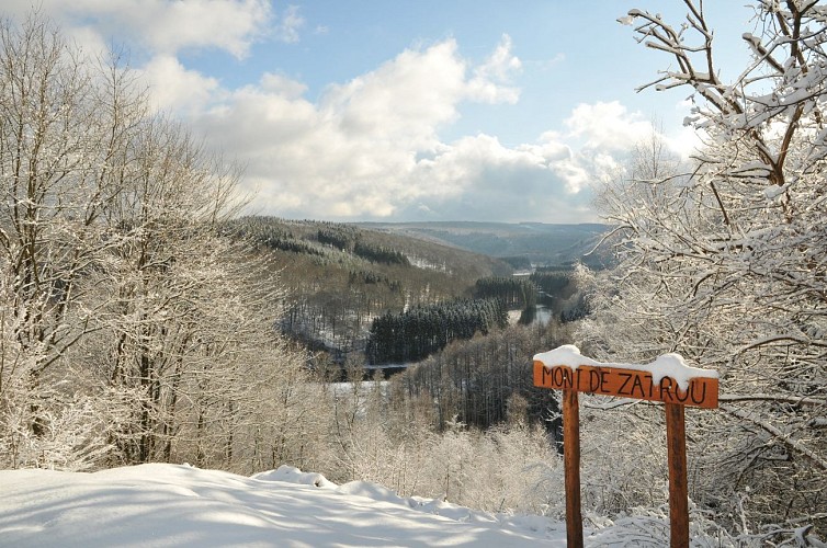 Les Hayons - Mont de Zatrou - hiver (MT Bouillon) BR