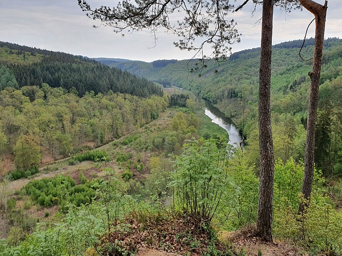 Bouillon PV Charlier avril 20 A. Villeval (3)