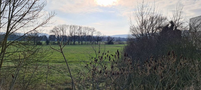 Campagne près des étangs