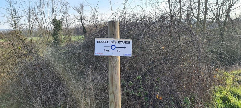 PONT A MOUSSON  - les etangs  Muller et du Saussi