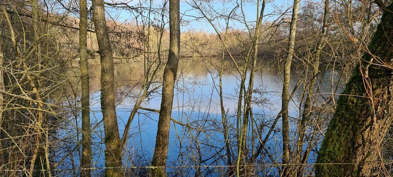 PONT A MOUSSON  - les etangs  Muller et du Saussi