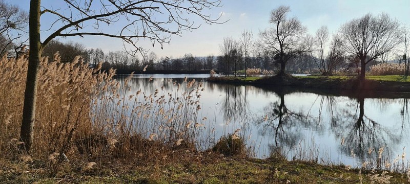 PONT A MOUSSON  - les etangs  Muller et du Saussi