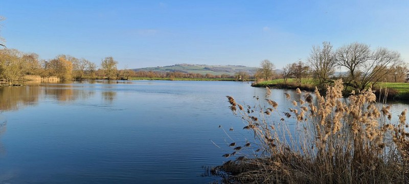 PONT A MOUSSON  - les etangs  Muller et du Saussi