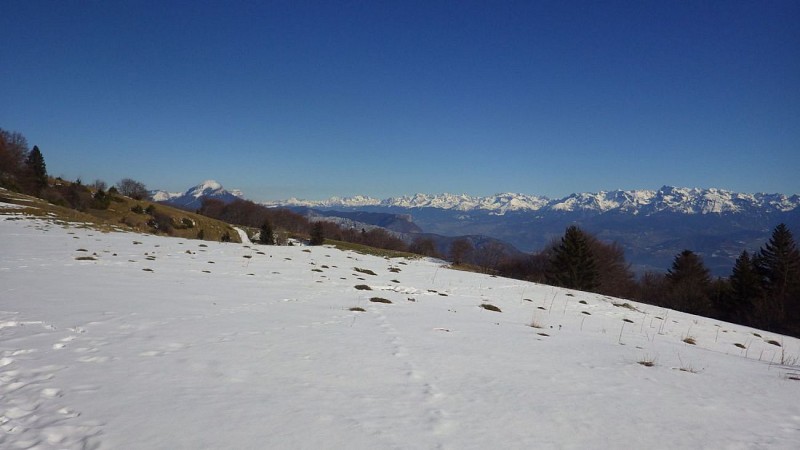 Vue sur Belledonne depuis plateau Sornin