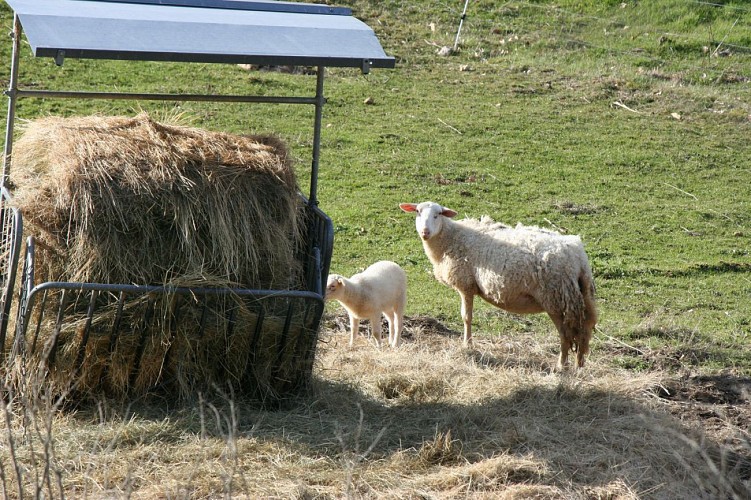 Pont Romain de Bugarach