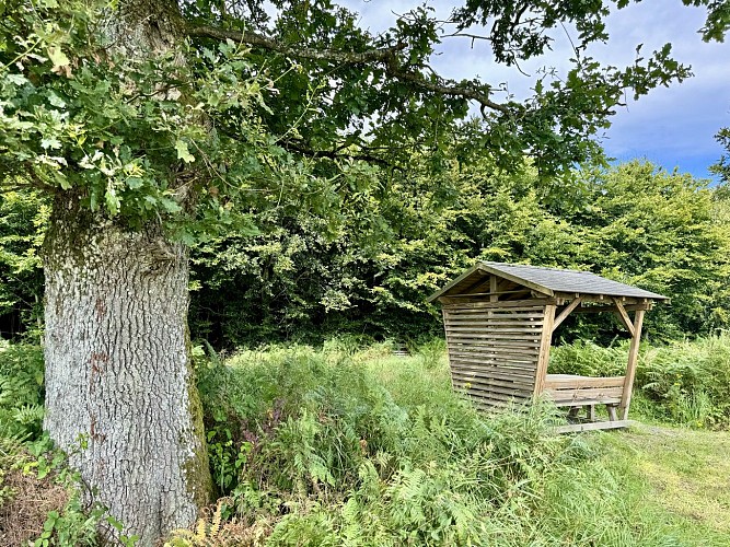 Promenade de tultay © MTEXF TEXTO Pascal Willems (8)