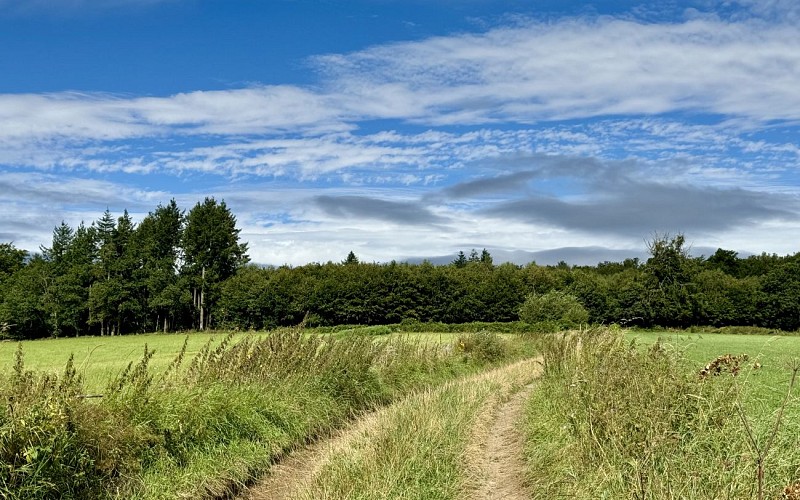 Promenade de tultay © MTEXF TEXTO Pascal Willems (19)