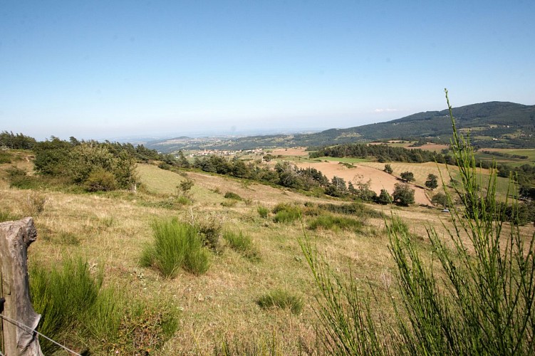 Mountain Bike Trail : Col de Seyaret