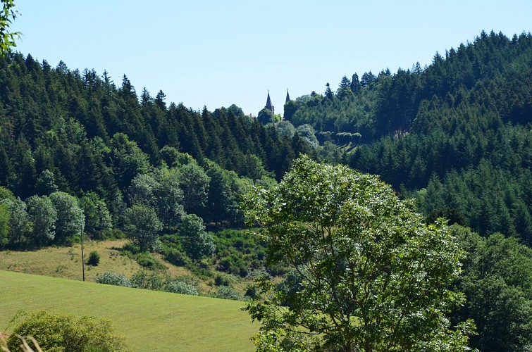 Hiking Trail : The Versailles wood