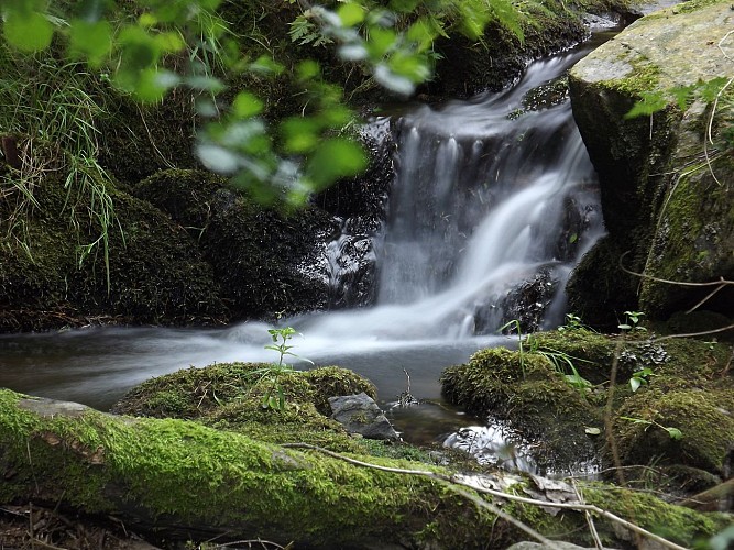 Cascades de La Scie