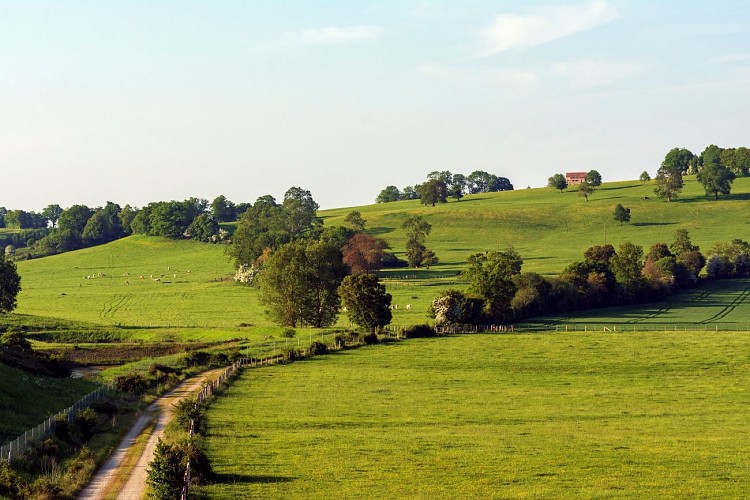 Balade à cheval - La Boucle du Merlerault