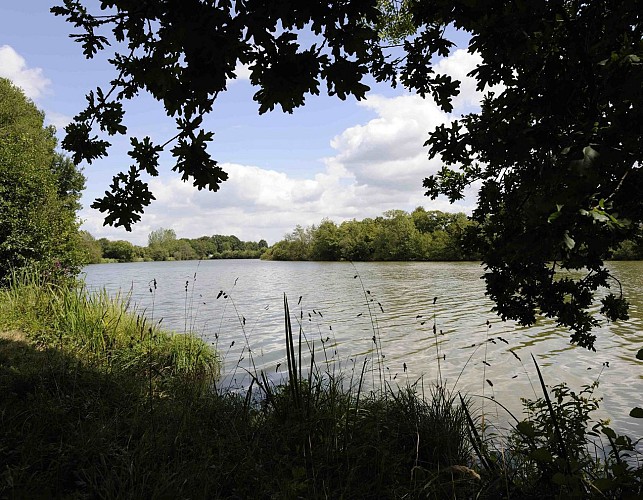 Vélo Promenade® en Pays de Rennes n°3