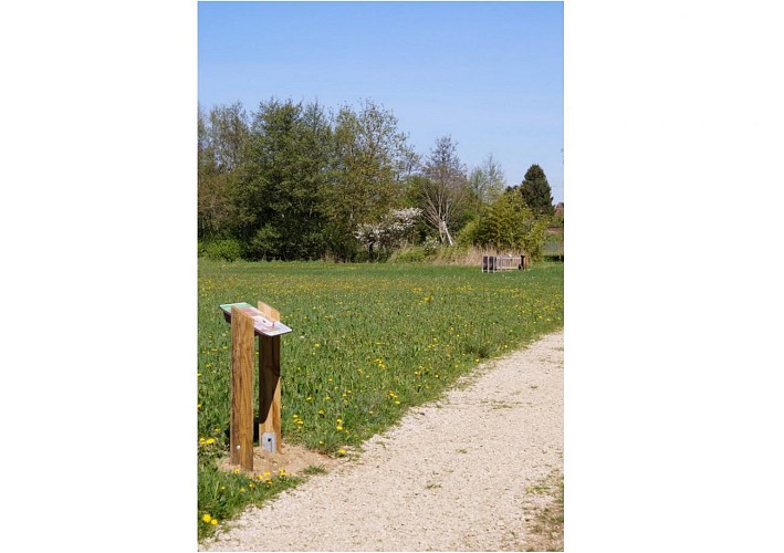 Sentier des mares Louhans