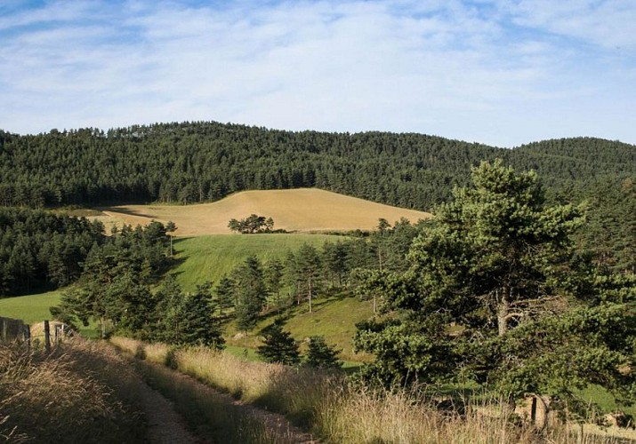 Vue depuis le circuit du Mazelet