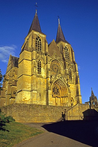 Houblon et Fortification