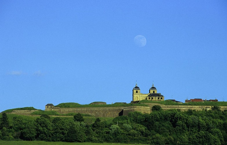 Houblon et Fortification