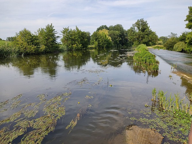 Le long de la Dronne