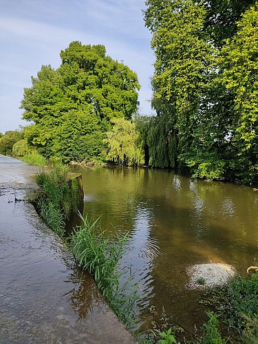 Le long de la Dronne