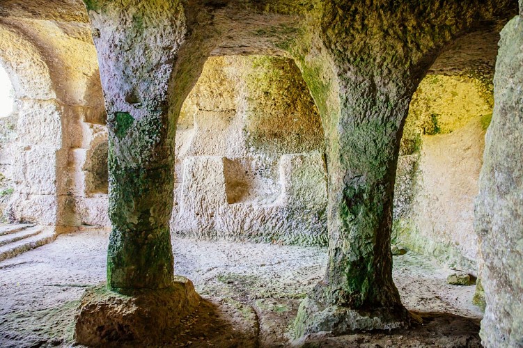 Le chemin des Orchidées