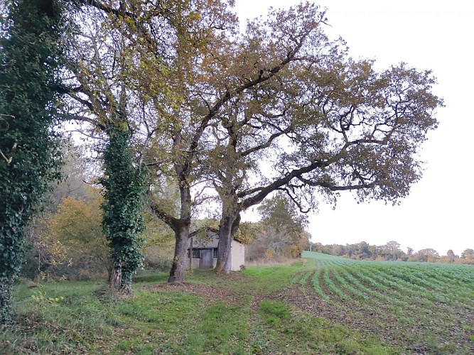 Circuits de randonnée de la fontaine de guérison