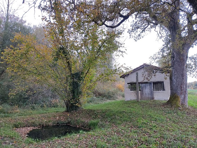 Circuits de randonnée de la fontaine de guérison