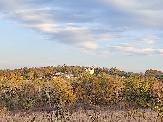 Le château de la Faye