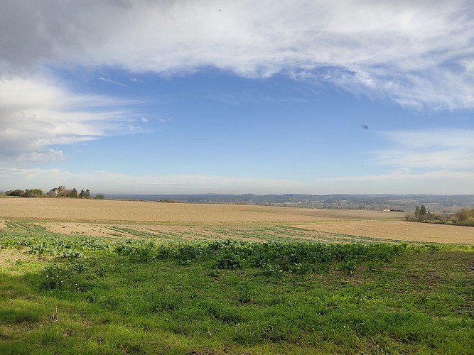 Point de vue sur les champs