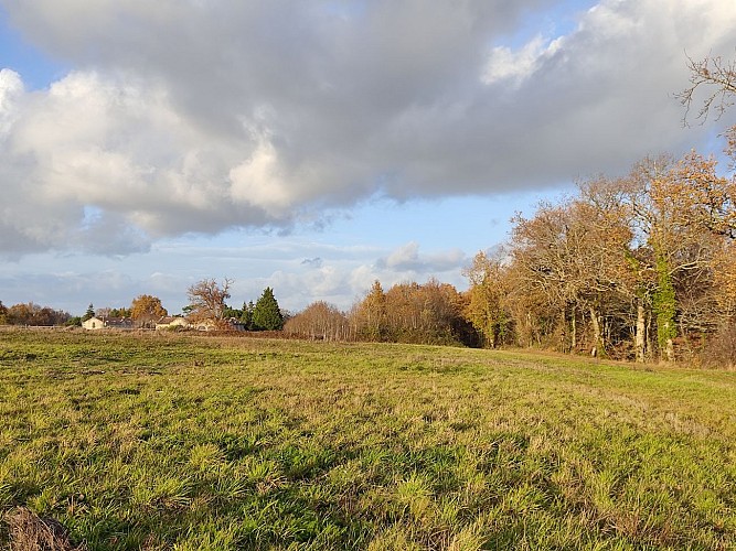 Sentier de Beauregard