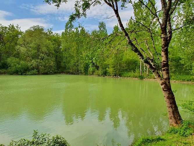 Sentier des Combes et des Collines