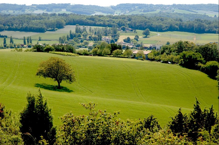 Sentier des Combes et des Collines