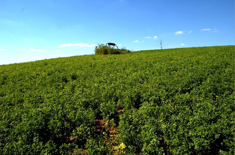 Sentier des Combes et des Collines