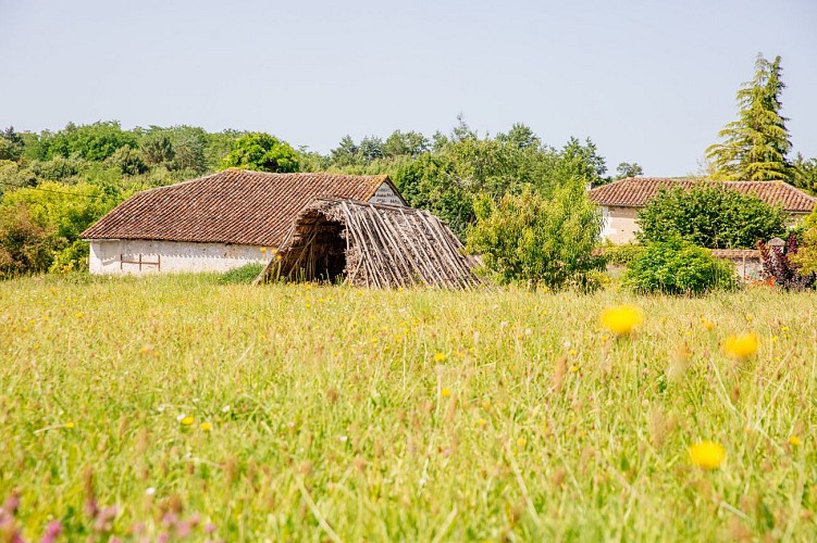 Le chemin de Rauzet à Combiers