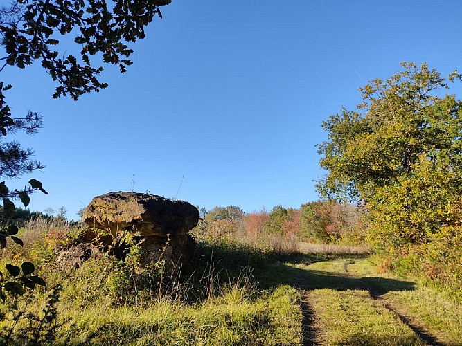 Le chemin de Combiers